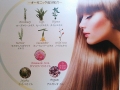 パイモア CUREMENT HERBAL (キュアメント ハーバル)  オーガニックエキスを贅沢に配合